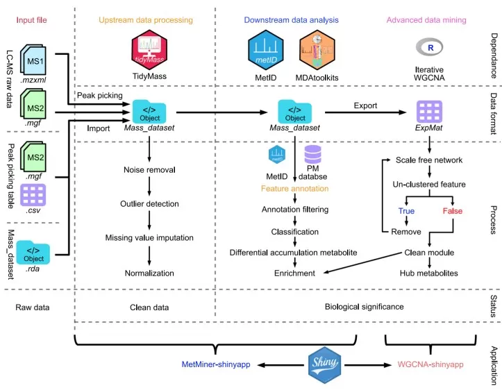 The architecture of MetMiner pipeline